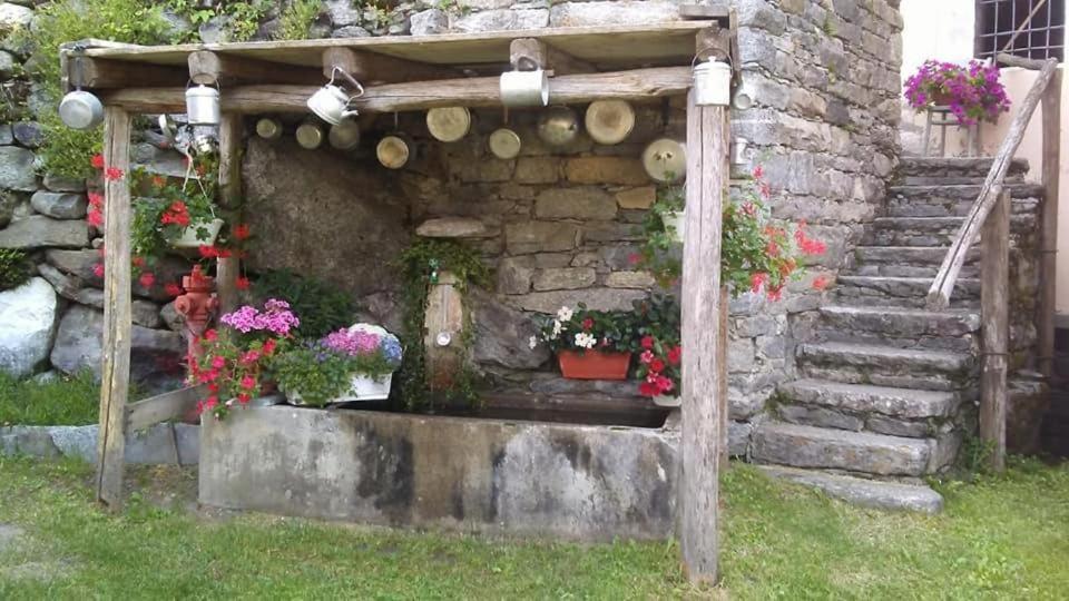 הוילה קרודו Casa Zizi מראה חיצוני תמונה
